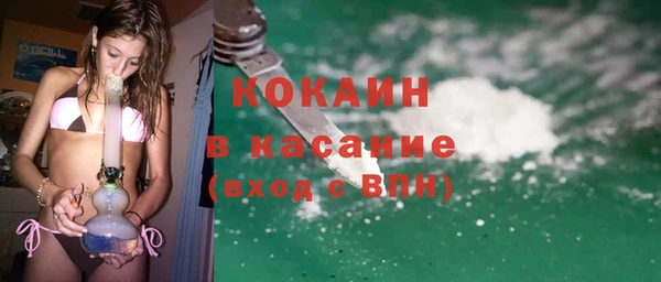 прущие грибы Богданович