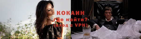 прущие грибы Богданович