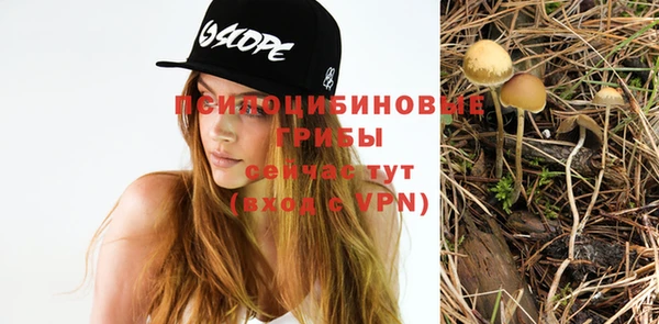 эйфоретик Богородицк