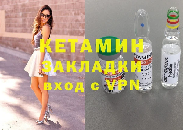 прущие грибы Богданович