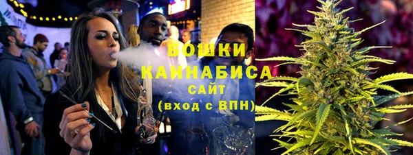 шишки Белоозёрский