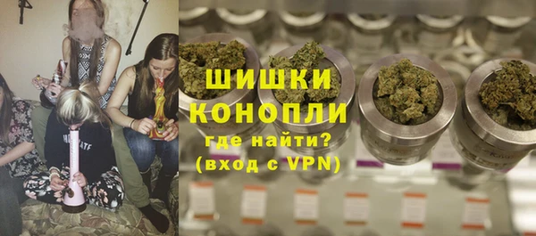 прущие грибы Богданович