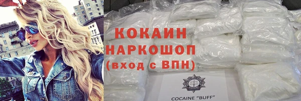 прущие грибы Богданович