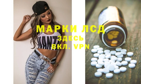 прущие грибы Богданович
