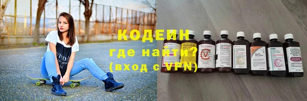 прущие грибы Богданович
