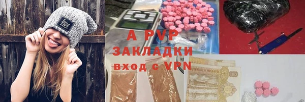 прущие грибы Богданович