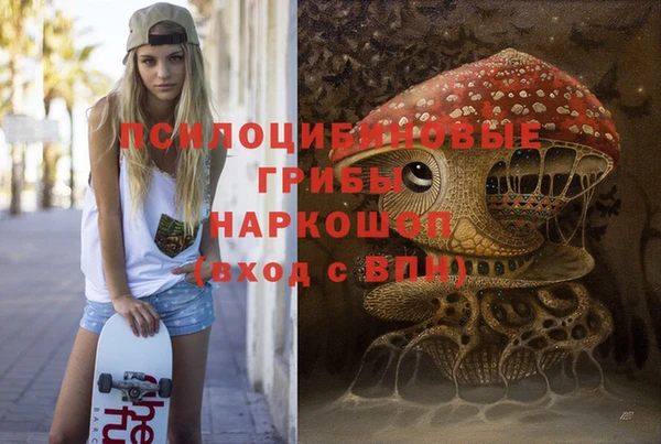 прущие грибы Богданович