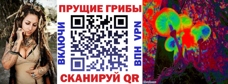 Псилоцибиновые грибы мухоморы  наркота  kraken ССЫЛКА  Набережные Челны 